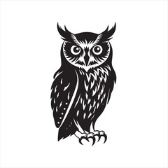 owl vector illustration