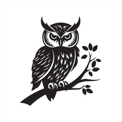 owl vector illustration