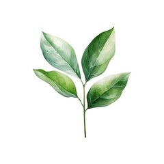 Obraz premium Green leaf branch watercolor painting is perfect for nature themed designs, botanical prints, eco friendly branding, and organic product packaging. Generative AI