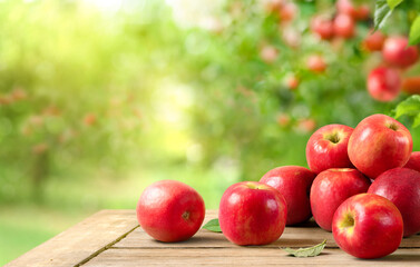 Fresh red apples on wooden table in apple farming.