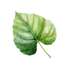 Obraz premium A green leaf is painted with watercolor and isolated on white. Suitable for nature themed designs, greeting cards, and botanical illustration. Generative AI