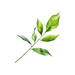 Fototapeta premium Green leaf branch watercolor painting is perfect for nature themed designs, botanical prints, eco friendly branding, and organic product packaging. Generative AI
