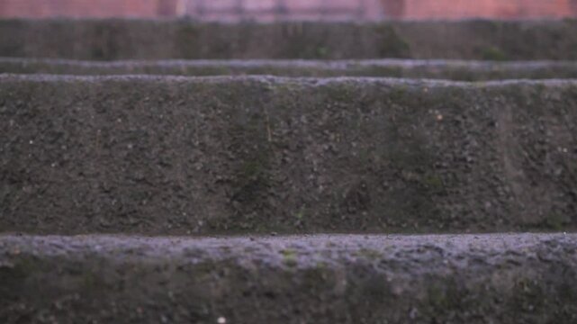 fort dore reveal from staircase closeup view