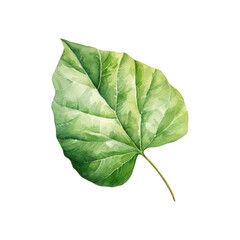 Obraz premium A green leaf is painted with watercolor and isolated on white. Suitable for nature themed designs, greeting cards, and botanical illustration. Generative AI