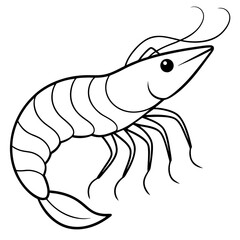 Fototapeta premium shrimp illustration