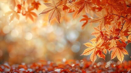 Fototapeta premium Simple Design in Autumn Background - a charming and serene visual. The simple yet elegant design against the backdrop of autumn creates a captivating and peaceful scene.