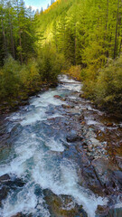 Fototapeta premium view of the mountain river from a drone