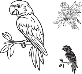 Obraz premium Elegant Parrot Illustrations on Branches – Coloring Page Art