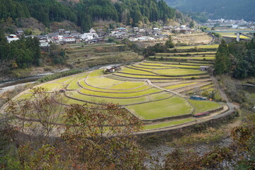 あらぎ島