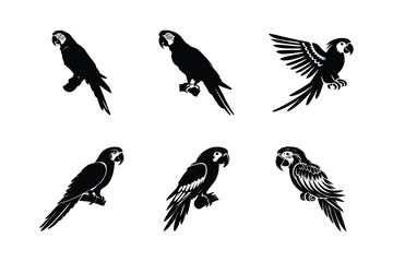 Cute Parrot icon silhouette collection set. Tropical parrot set with feathers and wings white background