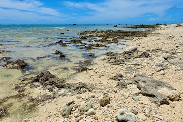 石垣島　白保海岸の風景