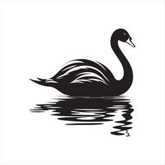 black swan vector
