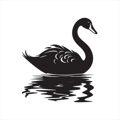 black swan on white,swan, bird, animal, vector, illustration, water, silhouette, symbol, love, lake, nature, art, duck, birds, cartoon, drawing, feather, black, beak, icon, design, wing, swimming, swa