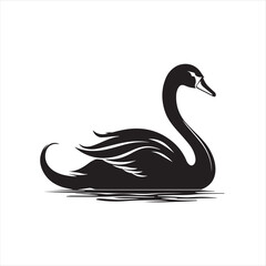 black swan on white,swan, bird, animal, vector, illustration, water, silhouette, symbol, love, lake, nature, art, duck, birds, cartoon, drawing, feather, black, beak, icon, design, wing, swimming, swa
