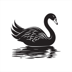 black swan on white,swan, bird, animal, vector, illustration, water, silhouette, symbol, love, lake, nature, art, duck, birds, cartoon, drawing, feather, black, beak, icon, design, wing, swimming, swa