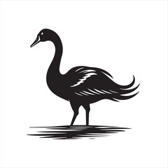 black swan on white,swan, bird, animal, vector, illustration, water, silhouette, symbol, love, lake, nature, art, duck, birds, cartoon, drawing, feather, black, beak, icon, design, wing, swimming, swa