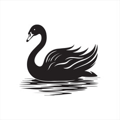 black swan on white,swan, bird, animal, vector, illustration, water, silhouette, symbol, love, lake, nature, art, duck, birds, cartoon, drawing, feather, black, beak, icon, design, wing, swimming, swa