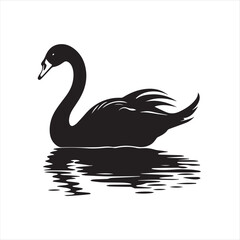 black swan on white,swan, bird, animal, vector, illustration, water, silhouette, symbol, love, lake, nature, art, duck, birds, cartoon, drawing, feather, black, beak, icon, design, wing, swimming, swa
