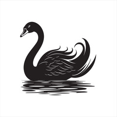 black swan on white,swan, bird, animal, vector, illustration, water, silhouette, symbol, love, lake, nature, art, duck, birds, cartoon, drawing, feather, black, beak, icon, design, wing, swimming, swa