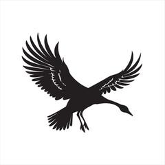 Fototapeta premium black swan on white,swan, bird, animal, vector, illustration, water, silhouette, symbol, love, lake, nature, art, duck, birds, cartoon, drawing, feather, black, beak, icon, design, wing, swimming, swa