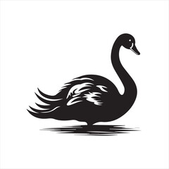 black swan on white,swan, bird, animal, vector, illustration, water, silhouette, symbol, love, lake, nature, art, duck, birds, cartoon, drawing, feather, black, beak, icon, design, wing, swimming, swa