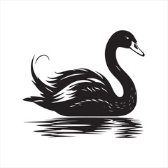black swan on white,swan, bird, animal, vector, illustration, water, silhouette, symbol, love, lake, nature, art, duck, birds, cartoon, drawing, feather, black, beak, icon, design, wing, swimming, swa