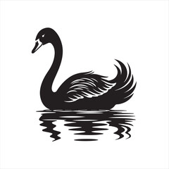 black swan on white,swan, bird, animal, vector, illustration, water, silhouette, symbol, love, lake, nature, art, duck, birds, cartoon, drawing, feather, black, beak, icon, design, wing, swimming, swa