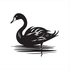 black swan on white,swan, bird, animal, vector, illustration, water, silhouette, symbol, love, lake, nature, art, duck, birds, cartoon, drawing, feather, black, beak, icon, design, wing, swimming, swa
