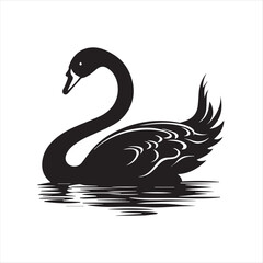 black swan on white,swan, bird, animal, vector, illustration, water, silhouette, symbol, love, lake, nature, art, duck, birds, cartoon, drawing, feather, black, beak, icon, design, wing, swimming, swa