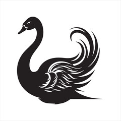 black swan on white,swan, bird, animal, vector, illustration, water, silhouette, symbol, love, lake, nature, art, duck, birds, cartoon, drawing, feather, black, beak, icon, design, wing, swimming, swa
