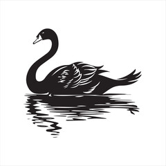 black swan on white,swan, bird, animal, vector, illustration, water, silhouette, symbol, love, lake, nature, art, duck, birds, cartoon, drawing, feather, black, beak, icon, design, wing, swimming, swa