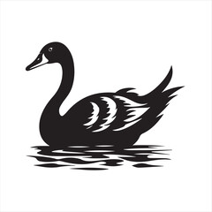 black swan on white,swan, bird, animal, vector, illustration, water, silhouette, symbol, love, lake, nature, art, duck, birds, cartoon, drawing, feather, black, beak, icon, design, wing, swimming, swa