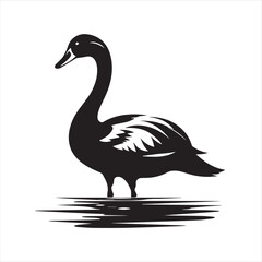 black swan on white,swan, bird, animal, vector, illustration, water, silhouette, symbol, love, lake, nature, art, duck, birds, cartoon, drawing, feather, black, beak, icon, design, wing, swimming, swa