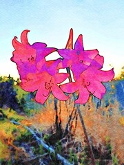 Red and purple flowers in the forest at dawn.