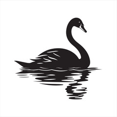 black swan on white,swan, bird, animal, vector, illustration, water, silhouette, symbol, love, lake, nature, art, duck, birds, cartoon, drawing, feather, black, beak, icon, design, wing, swimming, swa