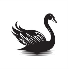black swan on white,swan, bird, animal, vector, illustration, water, silhouette, symbol, love, lake, nature, art, duck, birds, cartoon, drawing, feather, black, beak, icon, design, wing, swimming, swa