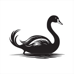 black swan on white,swan, bird, animal, vector, illustration, water, silhouette, symbol, love, lake, nature, art, duck, birds, cartoon, drawing, feather, black, beak, icon, design, wing, swimming, swa