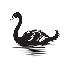 black swan on white,swan, bird, animal, vector, illustration, water, silhouette, symbol, love, lake, nature, art, duck, birds, cartoon, drawing, feather, black, beak, icon, design, wing, swimming, swa