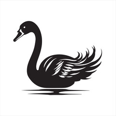 black swan on white,swan, bird, animal, vector, illustration, water, silhouette, symbol, love, lake, nature, art, duck, birds, cartoon, drawing, feather, black, beak, icon, design, wing, swimming, swa