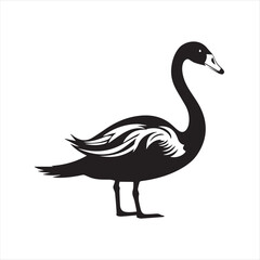 black swan on white,swan, bird, animal, vector, illustration, water, silhouette, symbol, love, lake, nature, art, duck, birds, cartoon, drawing, feather, black, beak, icon, design, wing, swimming, swa