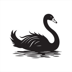 black swan on white,swan, bird, animal, vector, illustration, water, silhouette, symbol, love, lake, nature, art, duck, birds, cartoon, drawing, feather, black, beak, icon, design, wing, swimming, swa