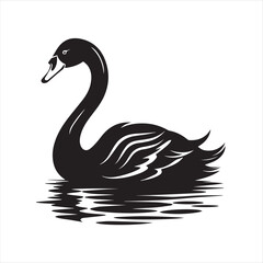 black swan on white,swan, bird, animal, vector, illustration, water, silhouette, symbol, love, lake, nature, art, duck, birds, cartoon, drawing, feather, black, beak, icon, design, wing, swimming, swa