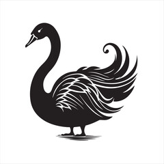 black swan on white,swan, bird, animal, vector, illustration, water, silhouette, symbol, love, lake, nature, art, duck, birds, cartoon, drawing, feather, black, beak, icon, design, wing, swimming, swa