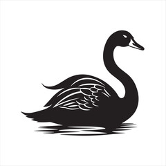 black swan on white,swan, bird, animal, vector, illustration, water, silhouette, symbol, love, lake, nature, art, duck, birds, cartoon, drawing, feather, black, beak, icon, design, wing, swimming, swa