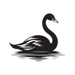black swan on white,swan, bird, animal, vector, illustration, water, silhouette, symbol, love, lake, nature, art, duck, birds, cartoon, drawing, feather, black, beak, icon, design, wing, swimming, swa