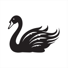 black swan on white,swan, bird, animal, vector, illustration, water, silhouette, symbol, love, lake, nature, art, duck, birds, cartoon, drawing, feather, black, beak, icon, design, wing, swimming, swa