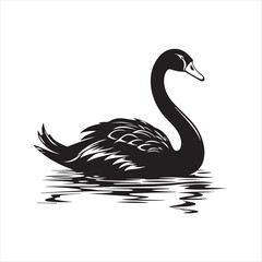 black swan on white,swan, bird, animal, vector, illustration, water, silhouette, symbol, love, lake, nature, art, duck, birds, cartoon, drawing, feather, black, beak, icon, design, wing, swimming, swa