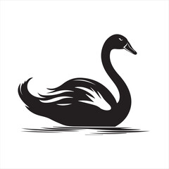 black swan on white,swan, bird, animal, vector, illustration, water, silhouette, symbol, love, lake, nature, art, duck, birds, cartoon, drawing, feather, black, beak, icon, design, wing, swimming, swa