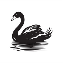 black swan on white,swan, bird, animal, vector, illustration, water, silhouette, symbol, love, lake, nature, art, duck, birds, cartoon, drawing, feather, black, beak, icon, design, wing, swimming, swa