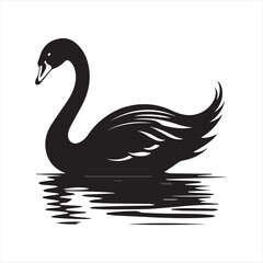 black swan on white,swan, bird, animal, vector, illustration, water, silhouette, symbol, love, lake, nature, art, duck, birds, cartoon, drawing, feather, black, beak, icon, design, wing, swimming, swa